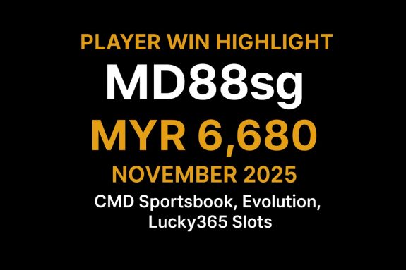 VWORLD VIP Player MD88sg